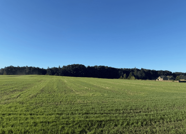 plot for sale, 646 m², Gillenmoor, Bispingen, Lower Saxony plot for sale, 646 m², Gillenmoor, Bispingen, Lower Saxony