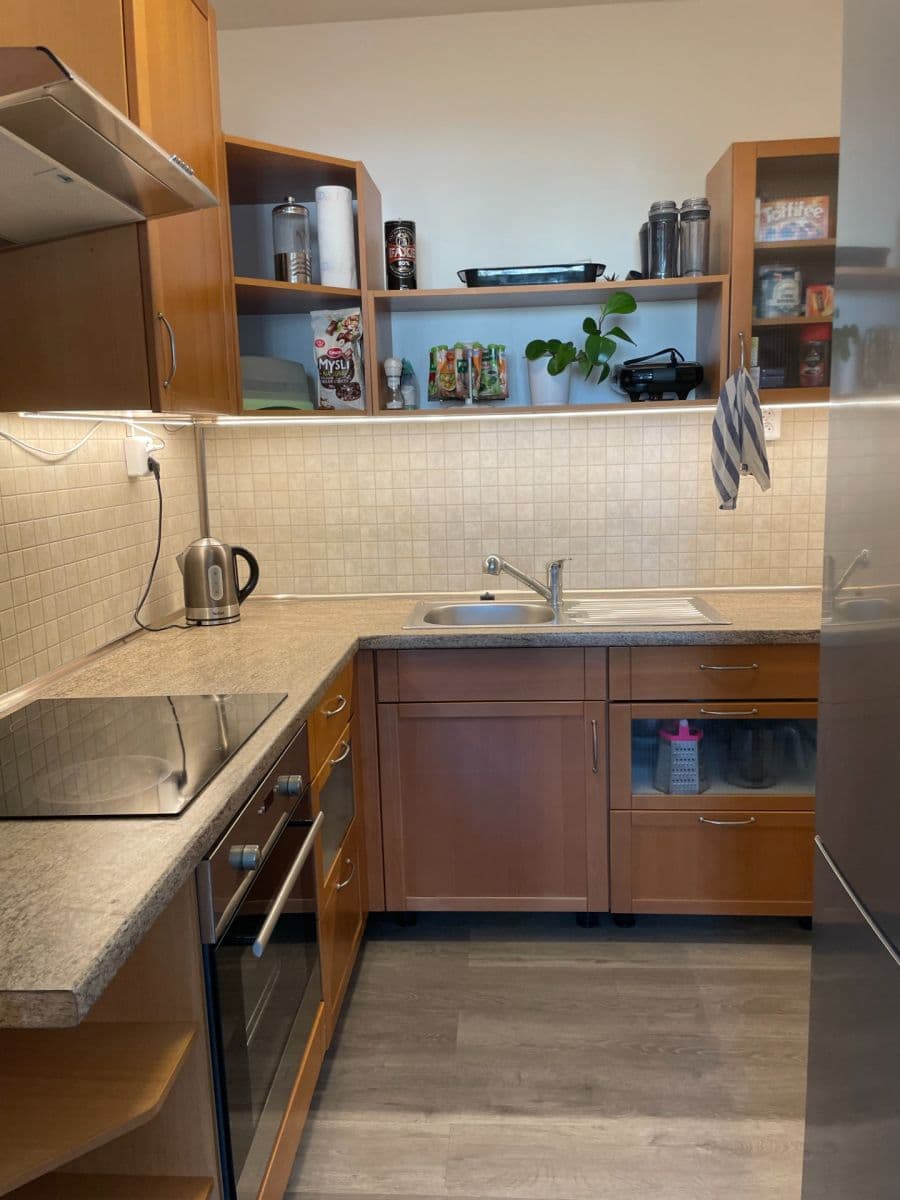 1 bedroom with open-plan kitchen flat to rent, 42 m², U Valu, Prague, Prague 1 bedroom with open-plan kitchen flat to rent, 42 m², U Valu, Prague, Prague
