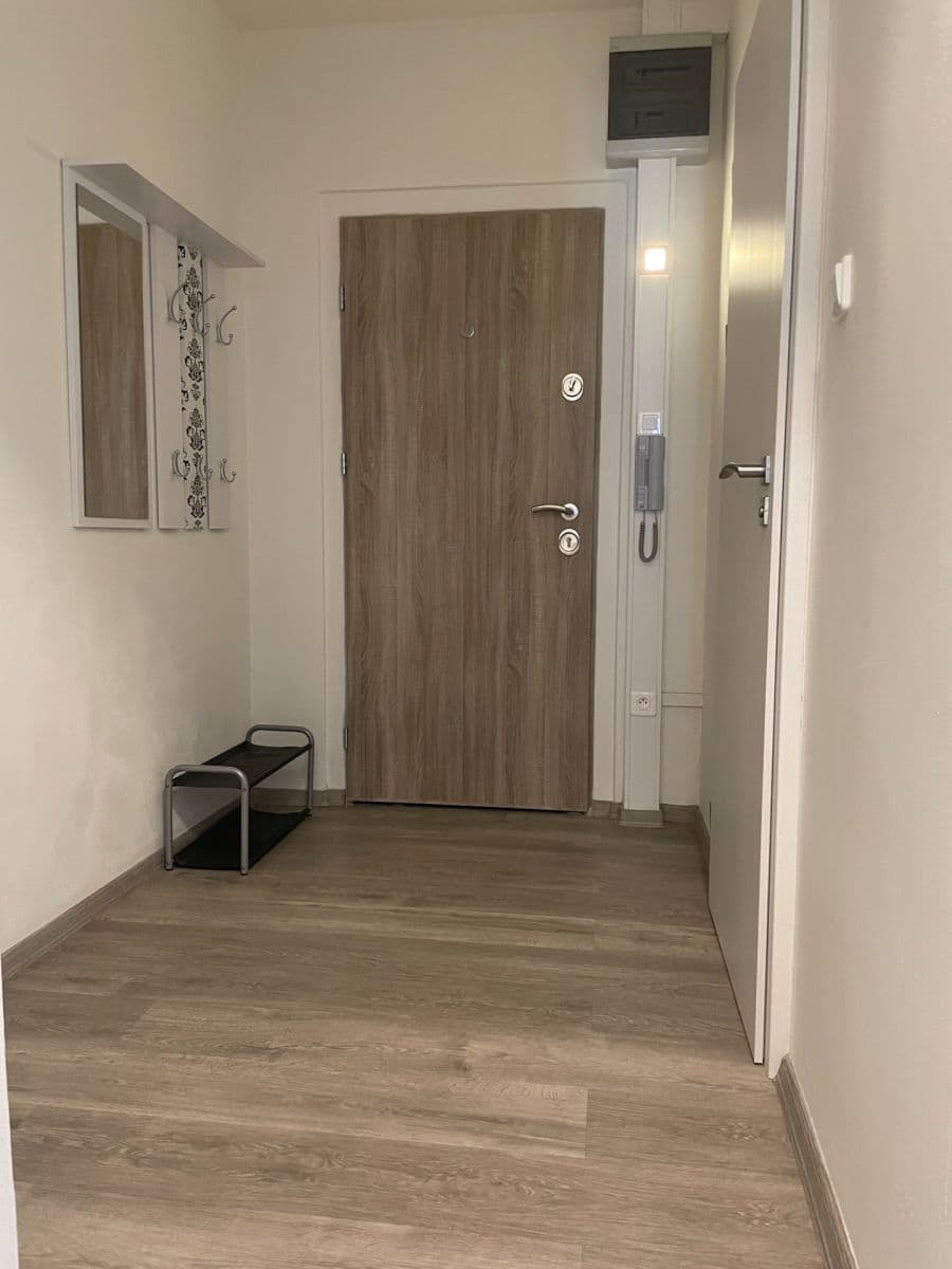 1 bedroom with open-plan kitchen flat to rent, 42 m², U Valu, Prague, Prague 1 bedroom with open-plan kitchen flat to rent, 42 m², U Valu, Prague, Prague