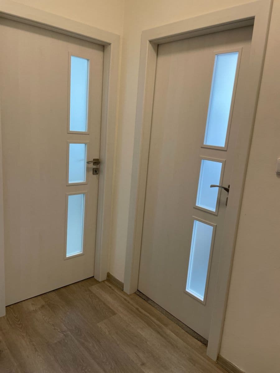 1 bedroom with open-plan kitchen flat to rent, 42 m², U Valu, Prague, Prague 1 bedroom with open-plan kitchen flat to rent, 42 m², U Valu, Prague, Prague