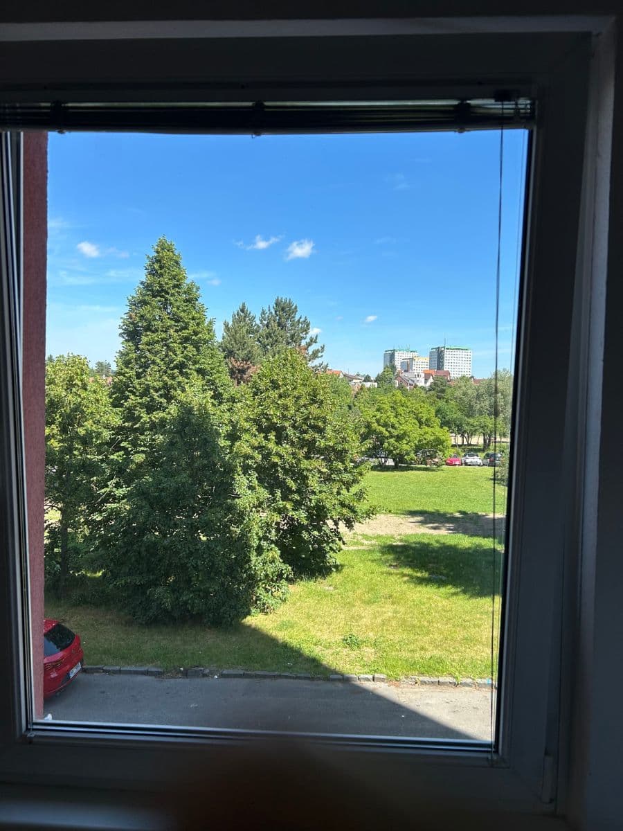 1 bedroom with open-plan kitchen flat for sale, 44 m², Smotlachova, Prague, Prague 1 bedroom with open-plan kitchen flat for sale, 44 m², Smotlachova, Prague, Prague