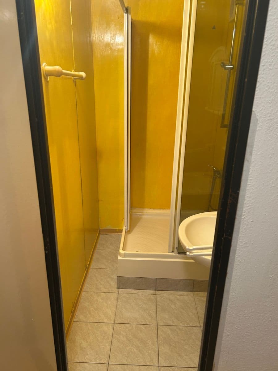 1 bedroom with open-plan kitchen flat for sale, 44 m², Smotlachova, Prague, Prague 1 bedroom with open-plan kitchen flat for sale, 44 m², Smotlachova, Prague, Prague