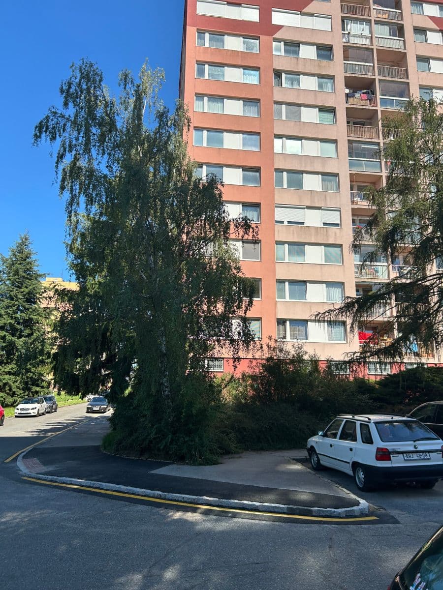 1 bedroom with open-plan kitchen flat for sale, 44 m², Smotlachova, Prague, Prague 1 bedroom with open-plan kitchen flat for sale, 44 m², Smotlachova, Prague, Prague