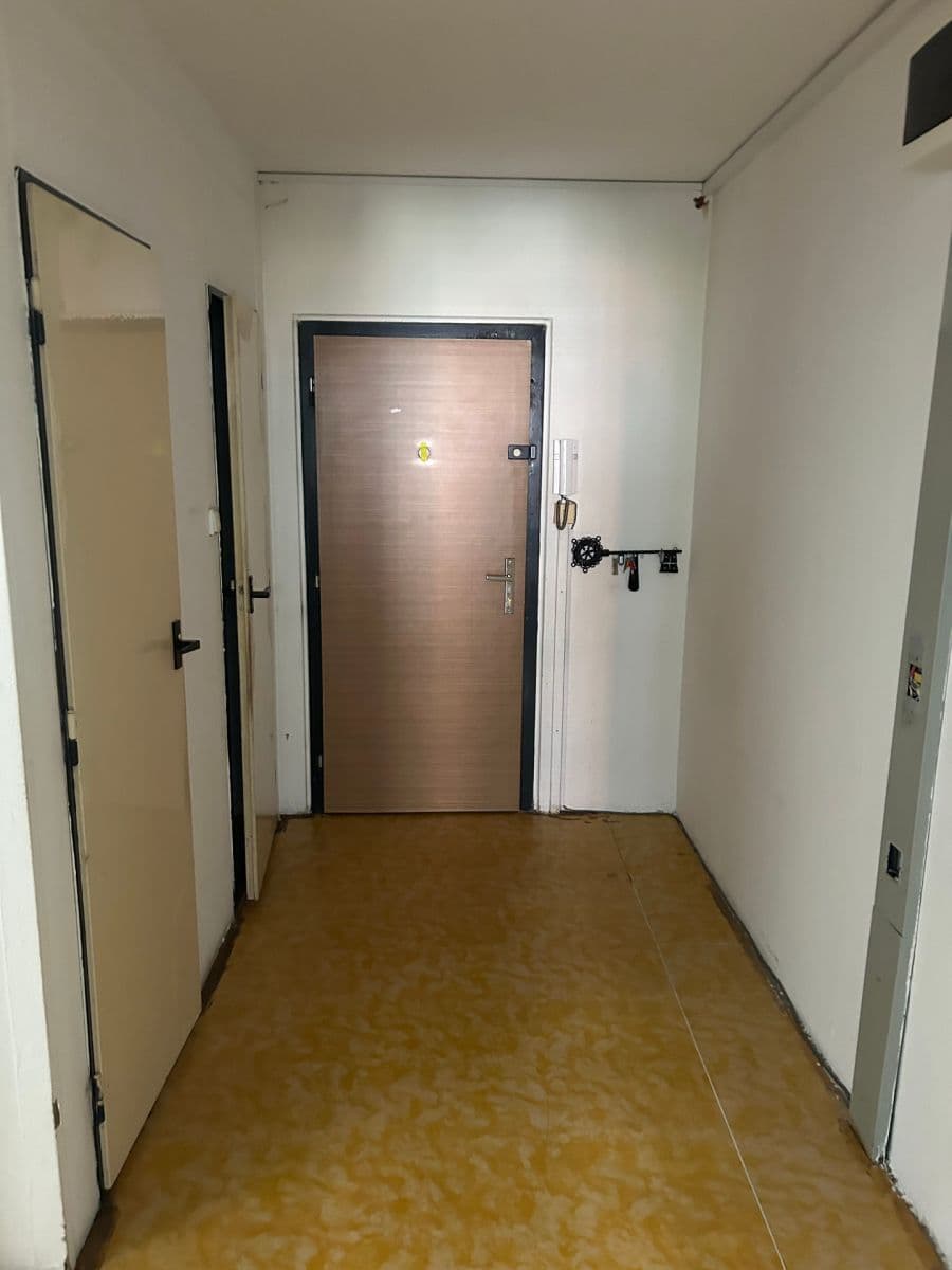 1 bedroom with open-plan kitchen flat for sale, 44 m², Smotlachova, Prague, Prague 1 bedroom with open-plan kitchen flat for sale, 44 m², Smotlachova, Prague, Prague