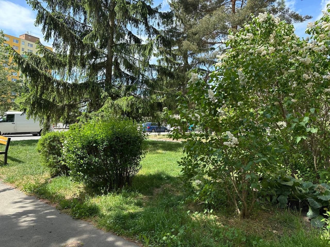 3 bedroom flat for sale, 70 m², Valentova, Prague, Prague 3 bedroom flat for sale, 70 m², Valentova, Prague, Prague