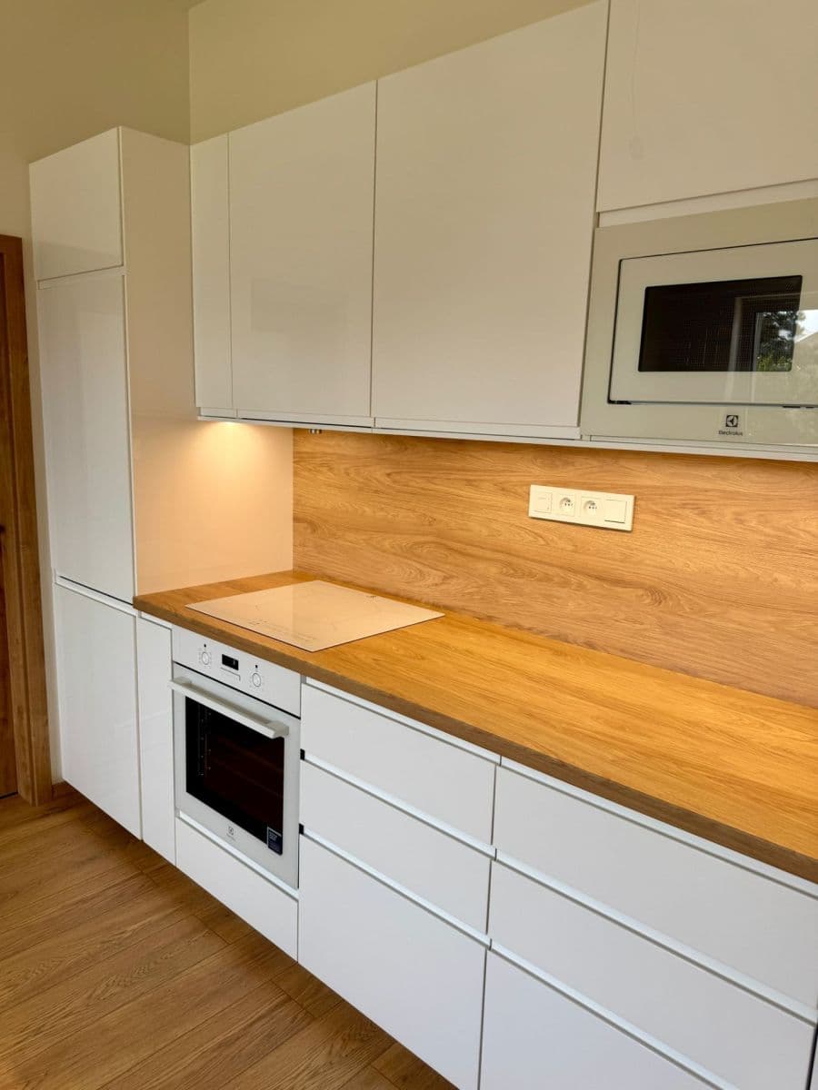1 bedroom with open-plan kitchen flat to rent, 45 m², Arnošta Staňka, Prague, Prague 1 bedroom with open-plan kitchen flat to rent, 45 m², Arnošta Staňka, Prague, Prague