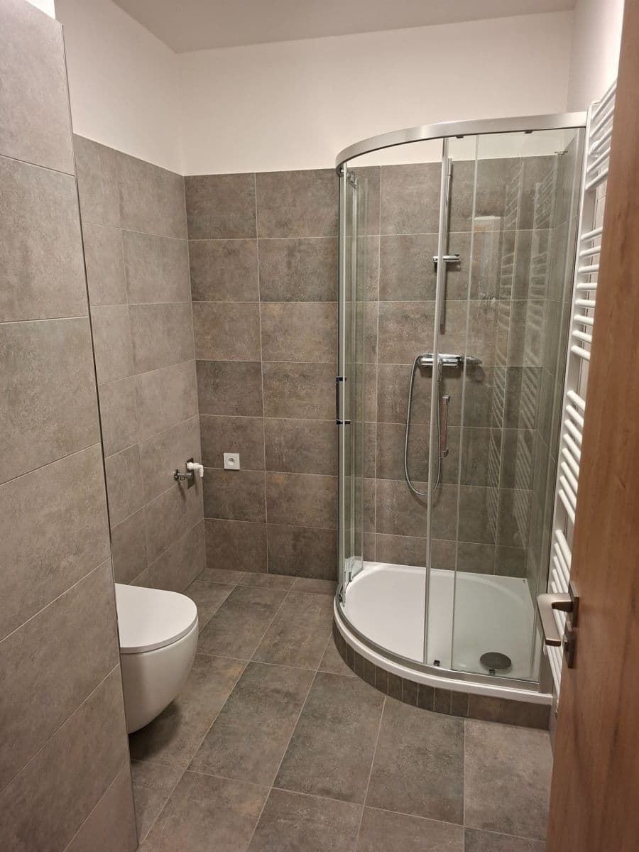 1 bedroom with open-plan kitchen flat to rent, 45 m², Arnošta Staňka, Prague, Prague 1 bedroom with open-plan kitchen flat to rent, 45 m², Arnošta Staňka, Prague, Prague