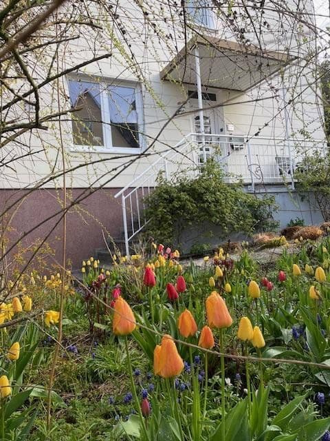 house for sale, 175 m², Siegen, North Rhine-Westphalia house for sale, 175 m², Siegen, North Rhine-Westphalia