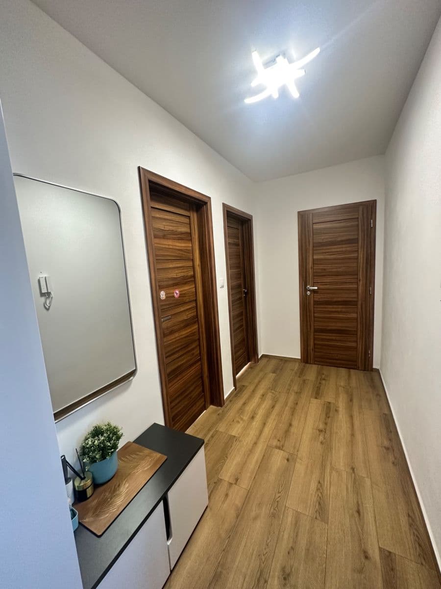 3 bedroom with open-plan kitchen flat to rent, 60 m², Kaplická, Prague, Prague 3 bedroom with open-plan kitchen flat to rent, 60 m², Kaplická, Prague, Prague