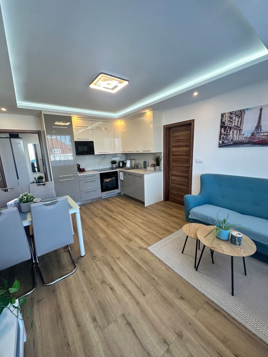 3 bedroom with open-plan kitchen flat to rent, 60 m², Kaplická, Prague, Prague 3 bedroom with open-plan kitchen flat to rent, 60 m², Kaplická, Prague, Prague