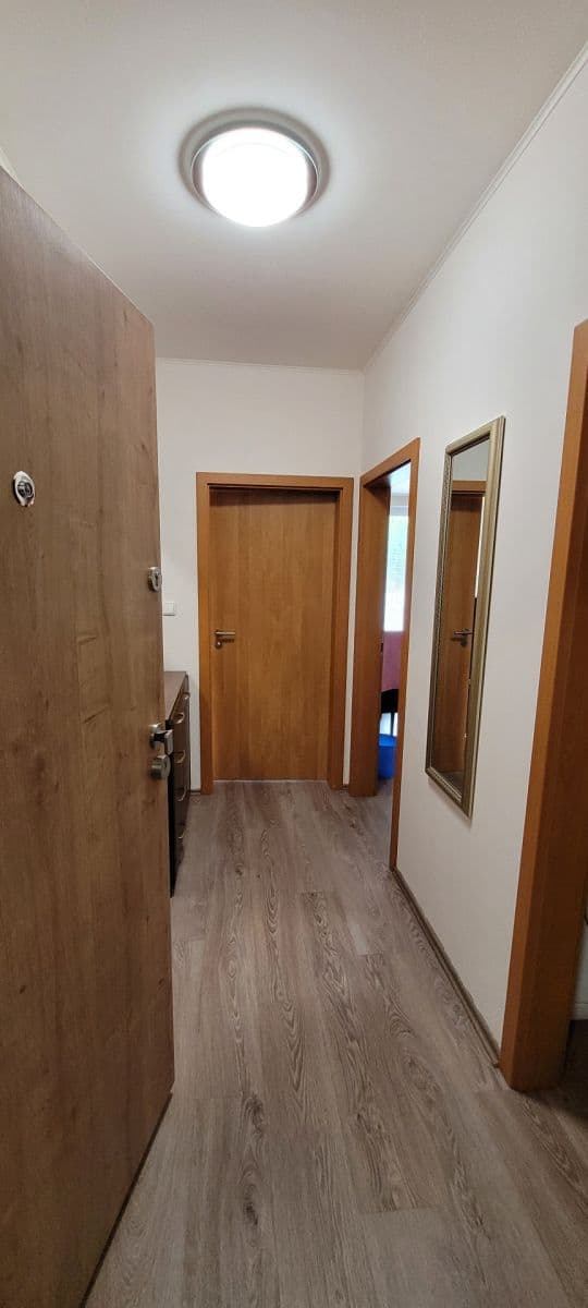 1 bedroom with open-plan kitchen flat to rent, 51 m², Soukalova, Prague, Prague 1 bedroom with open-plan kitchen flat to rent, 51 m², Soukalova, Prague, Prague