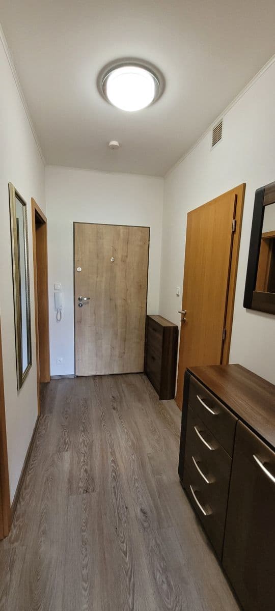 1 bedroom with open-plan kitchen flat to rent, 51 m², Soukalova, Prague, Prague 1 bedroom with open-plan kitchen flat to rent, 51 m², Soukalova, Prague, Prague