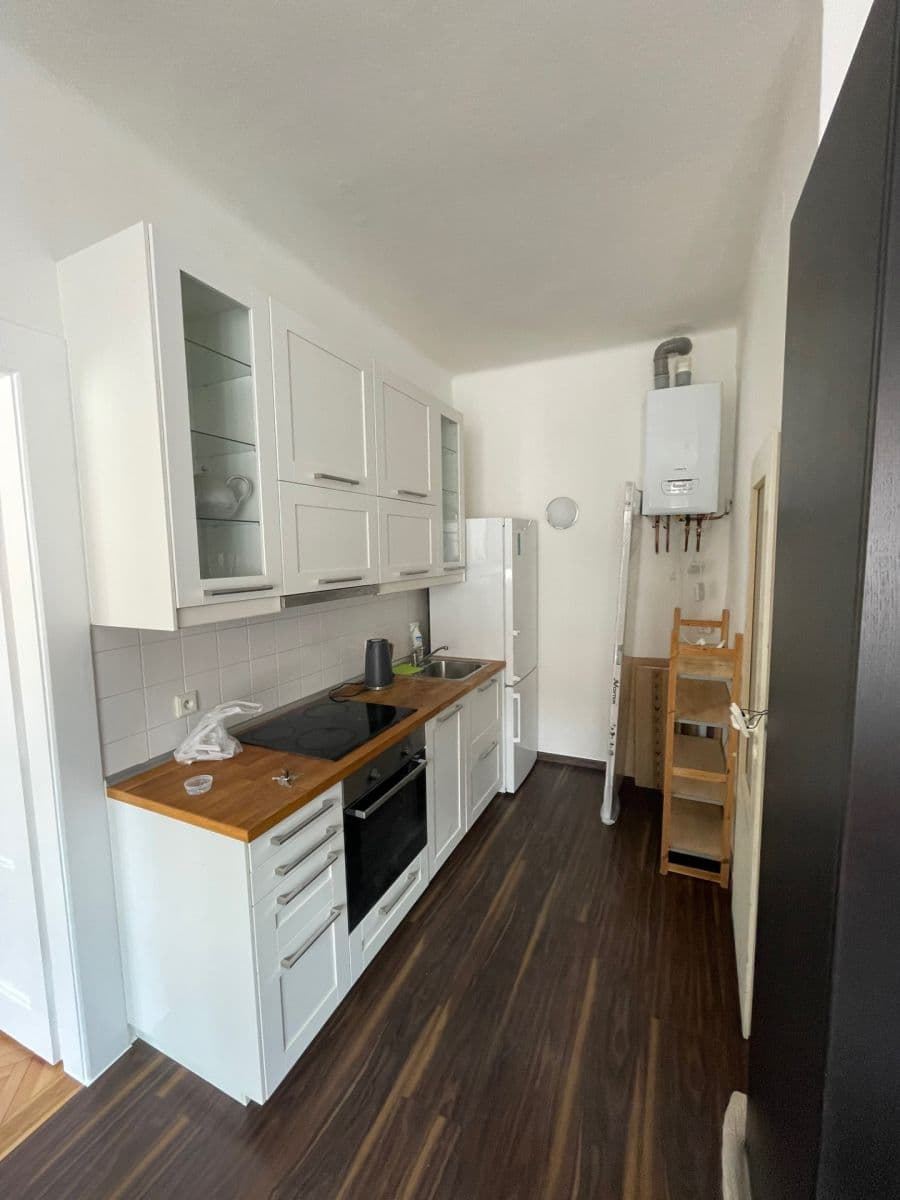 1 bedroom with open-plan kitchen flat to rent, 51 m², N. A. Někrasova, Prague, Prague 1 bedroom with open-plan kitchen flat to rent, 51 m², N. A. Někrasova, Prague, Prague