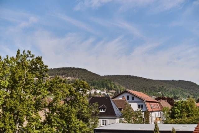 2 bedroom flat to rent, 62 m², Neustadt an der Weinstraße, Rhineland-Palatinate 2 bedroom flat to rent, 62 m², Neustadt an der Weinstraße, Rhineland-Palatinate