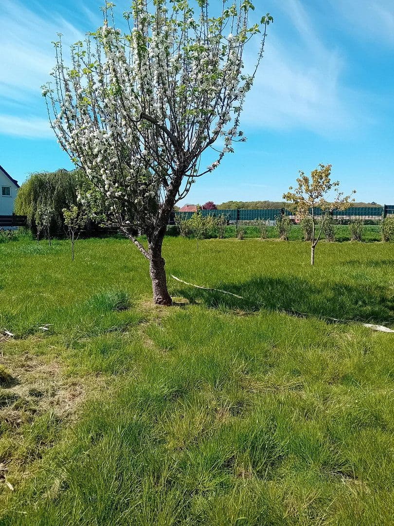 house for sale, 175 m², Spenge, North Rhine-Westphalia house for sale, 175 m², Spenge, North Rhine-Westphalia