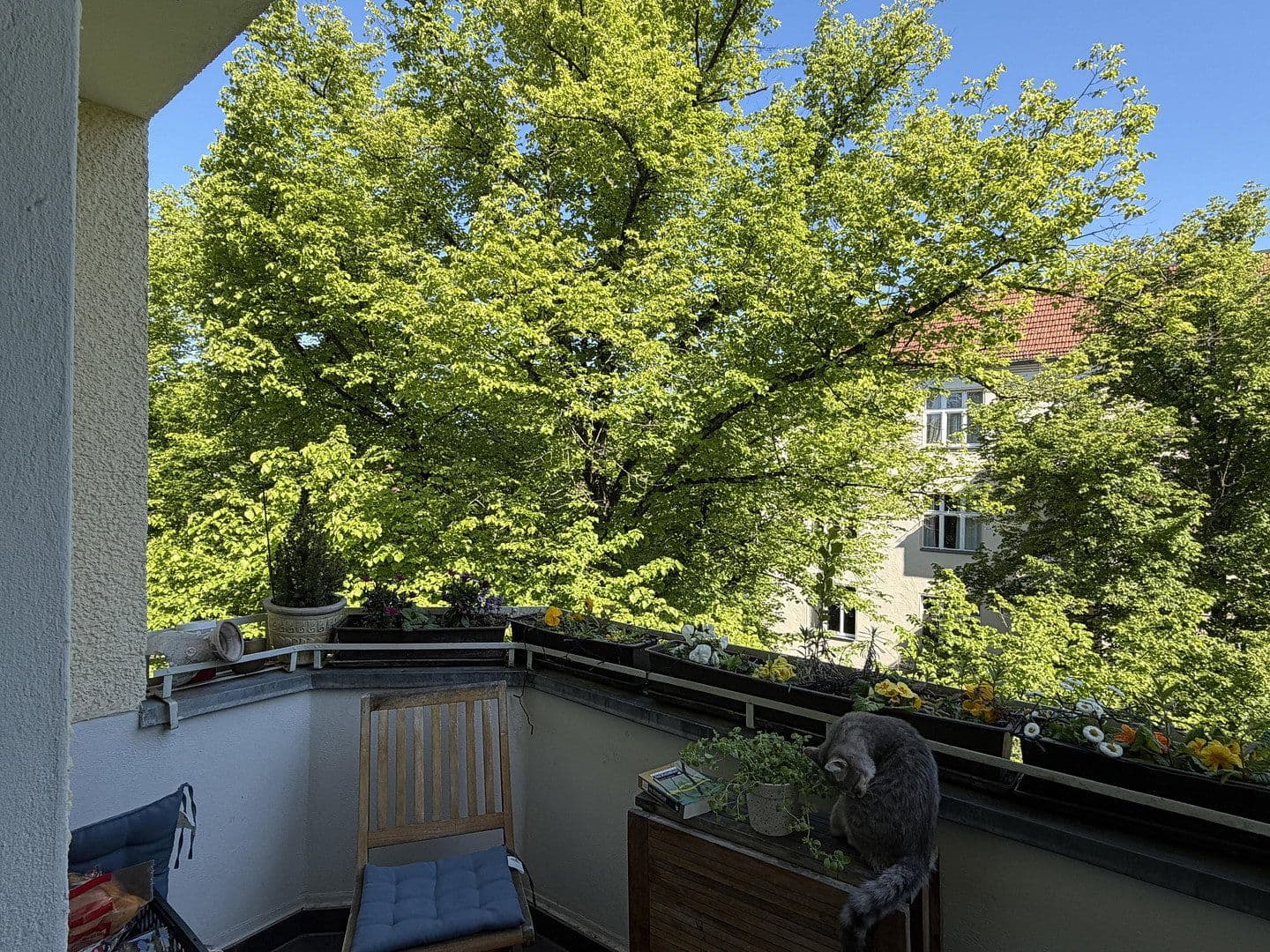 4 bedroom with open-plan kitchen flat for sale, 124 m², Berlin, Berlin 4 bedroom with open-plan kitchen flat for sale, 124 m², Berlin, Berlin