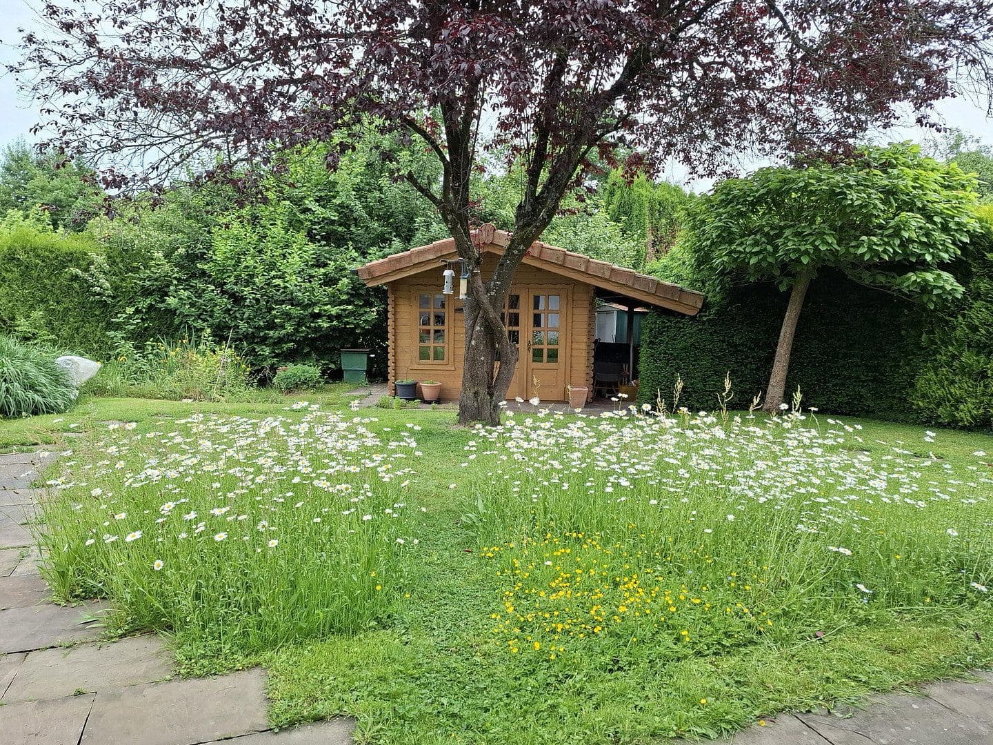 house for sale, 240 m², Weyerbusch, Rhineland-Palatinate house for sale, 240 m², Weyerbusch, Rhineland-Palatinate
