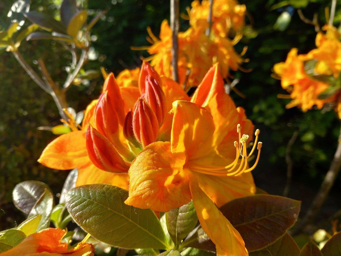 house for sale, 254 m², Breitenburg, Schleswig-Holstein house for sale, 254 m², Breitenburg, Schleswig-Holstein