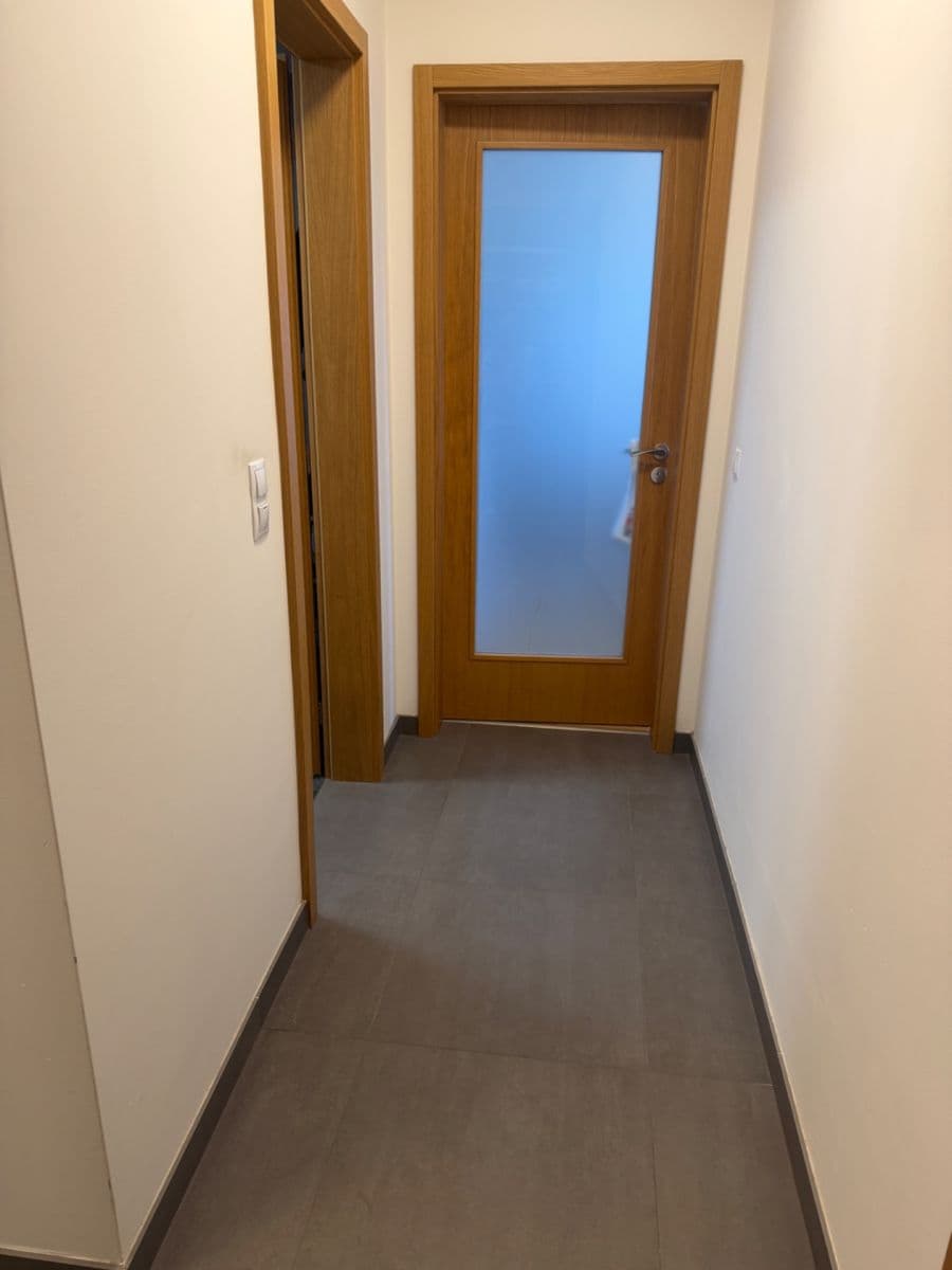 1 bedroom with open-plan kitchen flat for sale, 49 m², U Průhonu, Prague, Prague 1 bedroom with open-plan kitchen flat for sale, 49 m², U Průhonu, Prague, Prague