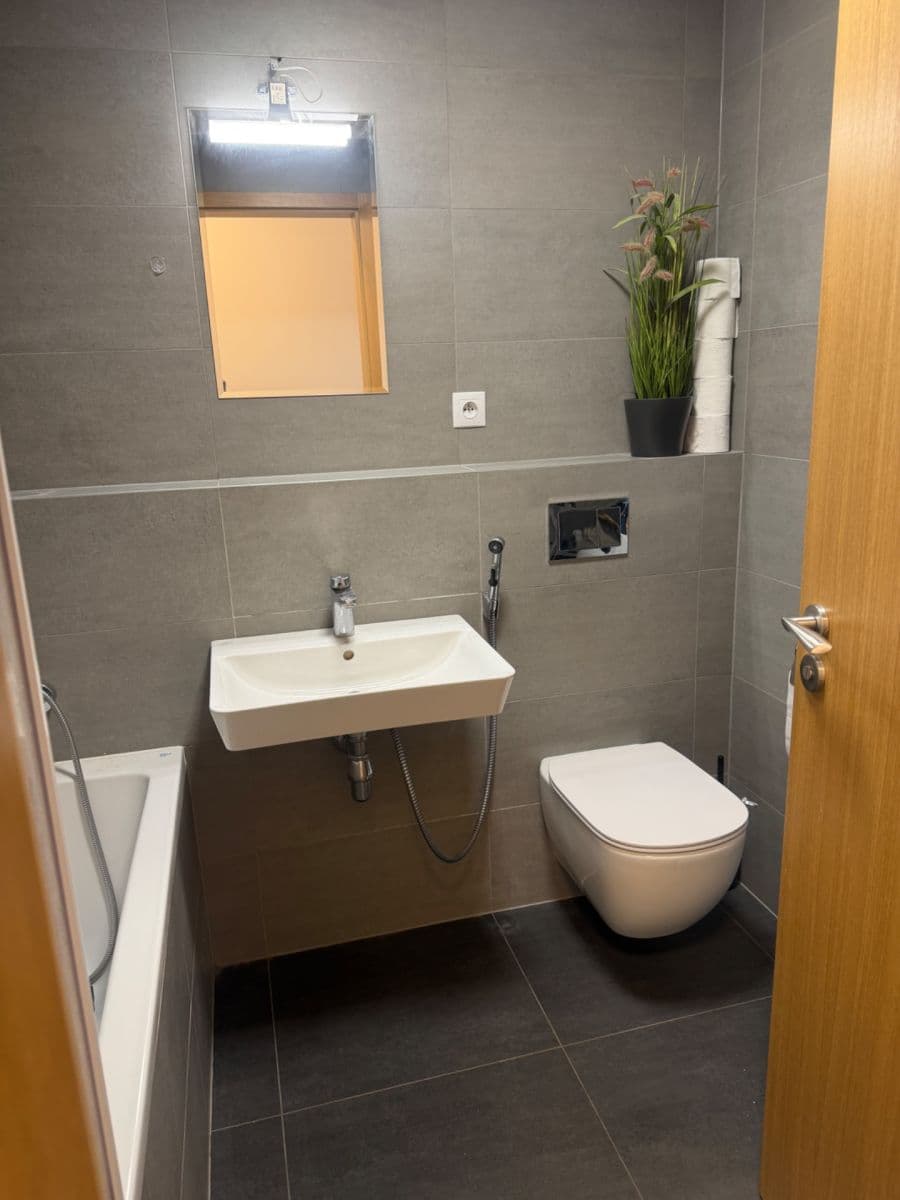 1 bedroom with open-plan kitchen flat for sale, 49 m², U Průhonu, Prague, Prague 1 bedroom with open-plan kitchen flat for sale, 49 m², U Průhonu, Prague, Prague