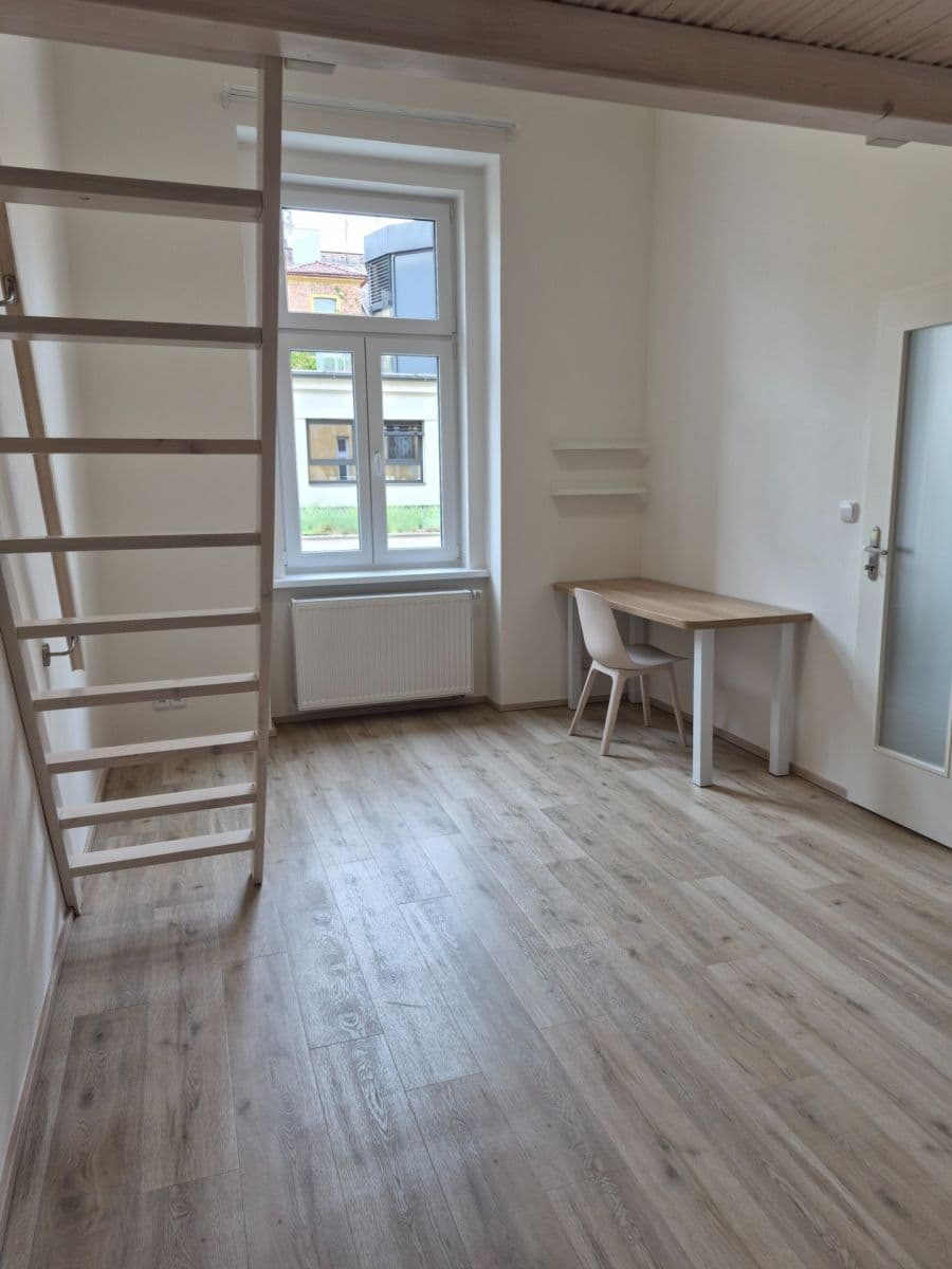 1 bedroom with open-plan kitchen flat to rent, 37 m², Boleslavova, Prague, Prague 1 bedroom with open-plan kitchen flat to rent, 37 m², Boleslavova, Prague, Prague