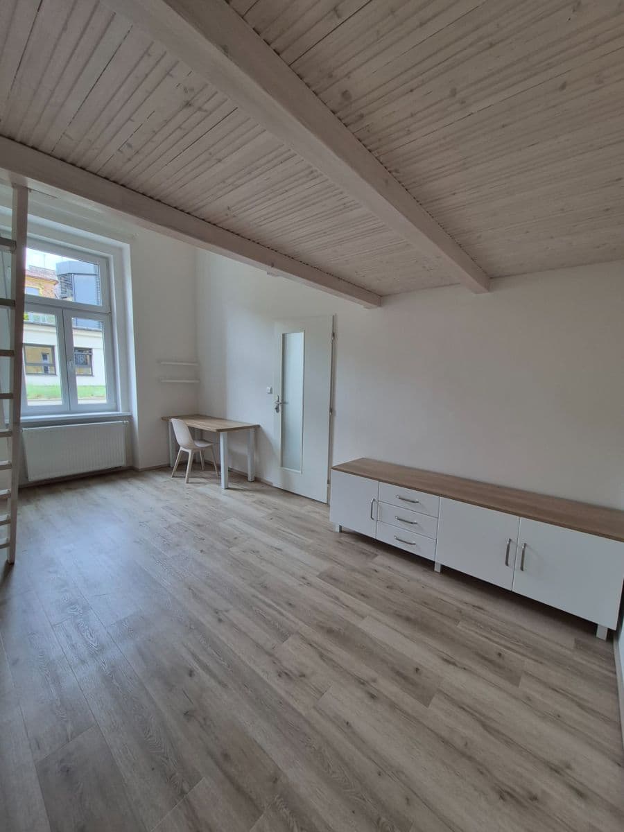 1 bedroom with open-plan kitchen flat to rent, 37 m², Boleslavova, Prague, Prague 1 bedroom with open-plan kitchen flat to rent, 37 m², Boleslavova, Prague, Prague
