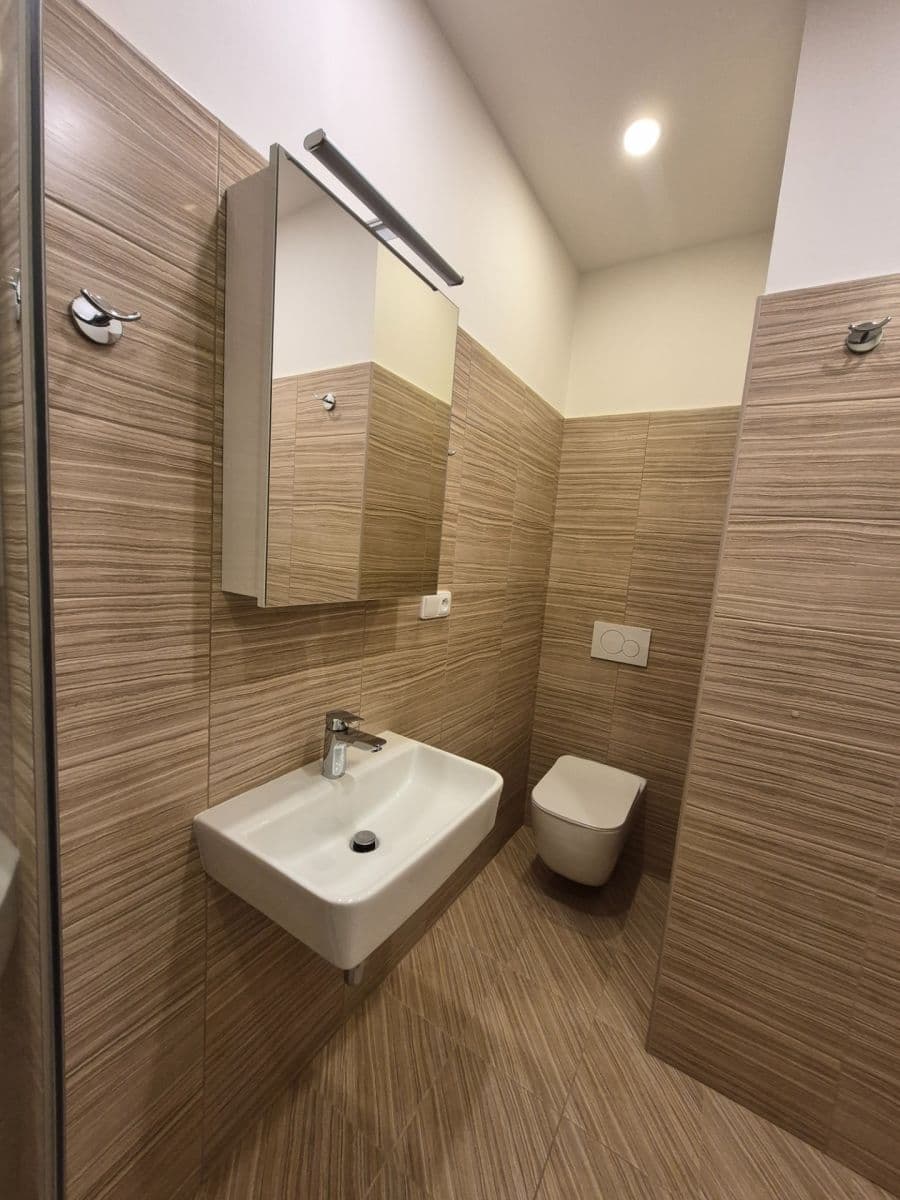 1 bedroom with open-plan kitchen flat to rent, 37 m², Boleslavova, Prague, Prague 1 bedroom with open-plan kitchen flat to rent, 37 m², Boleslavova, Prague, Prague