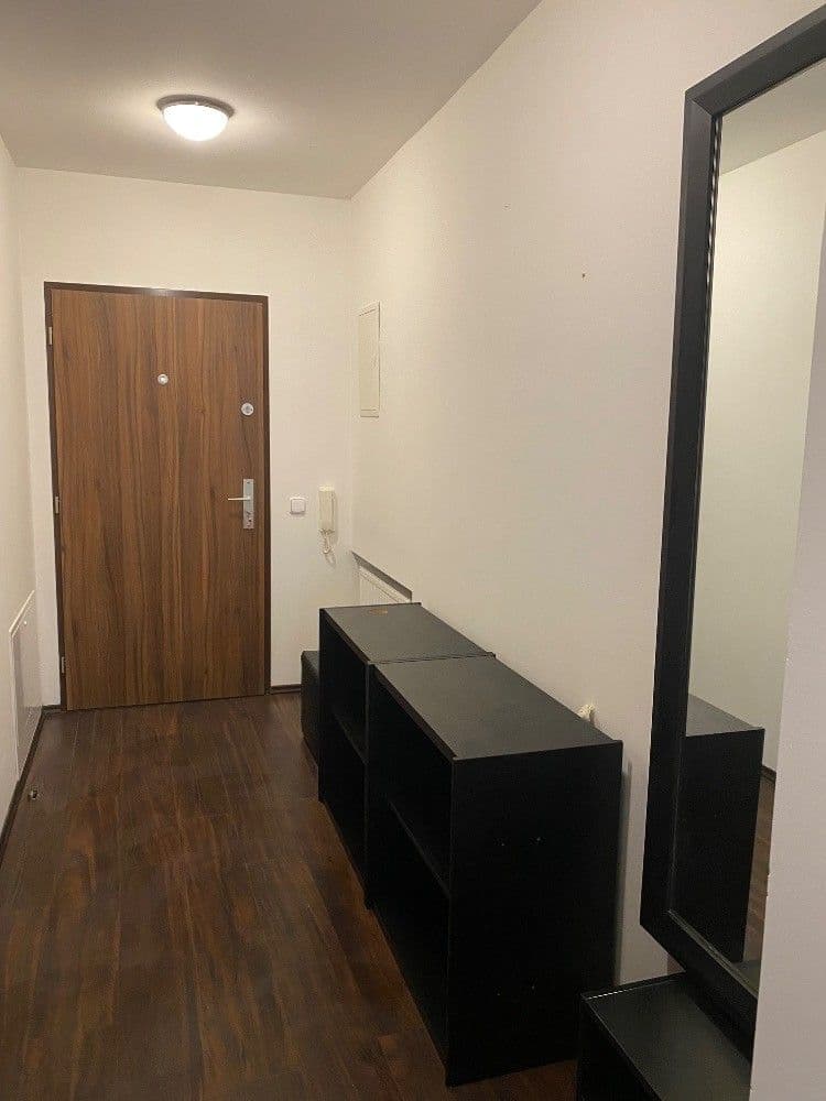 1 bedroom with open-plan kitchen flat to rent, 42 m², Kamenická, Prague, Prague 1 bedroom with open-plan kitchen flat to rent, 42 m², Kamenická, Prague, Prague
