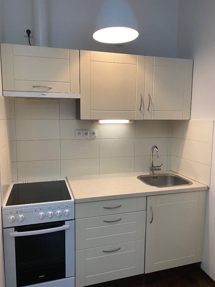 1 bedroom with open-plan kitchen flat to rent, 42 m², Kamenická, Prague, Prague 1 bedroom with open-plan kitchen flat to rent, 42 m², Kamenická, Prague, Prague
