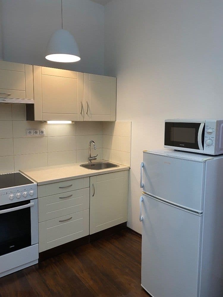 1 bedroom with open-plan kitchen flat to rent, 42 m², Kamenická, Prague, Prague 1 bedroom with open-plan kitchen flat to rent, 42 m², Kamenická, Prague, Prague