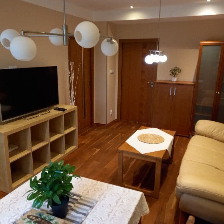 1 bedroom with open-plan kitchen flat to rent, 59 m², Šumberova, Prague, Prague 1 bedroom with open-plan kitchen flat to rent, 59 m², Šumberova, Prague, Prague