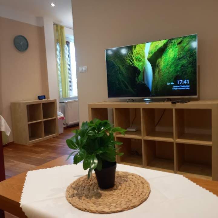 1 bedroom with open-plan kitchen flat to rent, 59 m², Šumberova, Prague, Prague 1 bedroom with open-plan kitchen flat to rent, 59 m², Šumberova, Prague, Prague