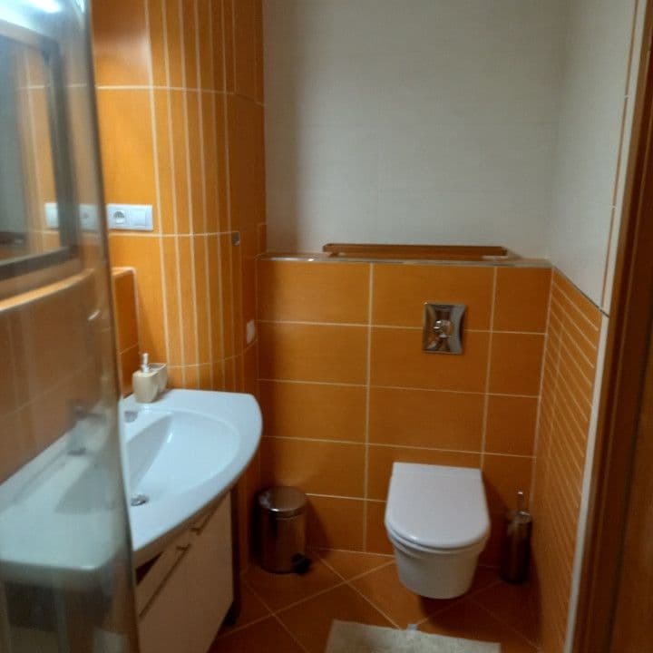 1 bedroom with open-plan kitchen flat to rent, 59 m², Šumberova, Prague, Prague 1 bedroom with open-plan kitchen flat to rent, 59 m², Šumberova, Prague, Prague