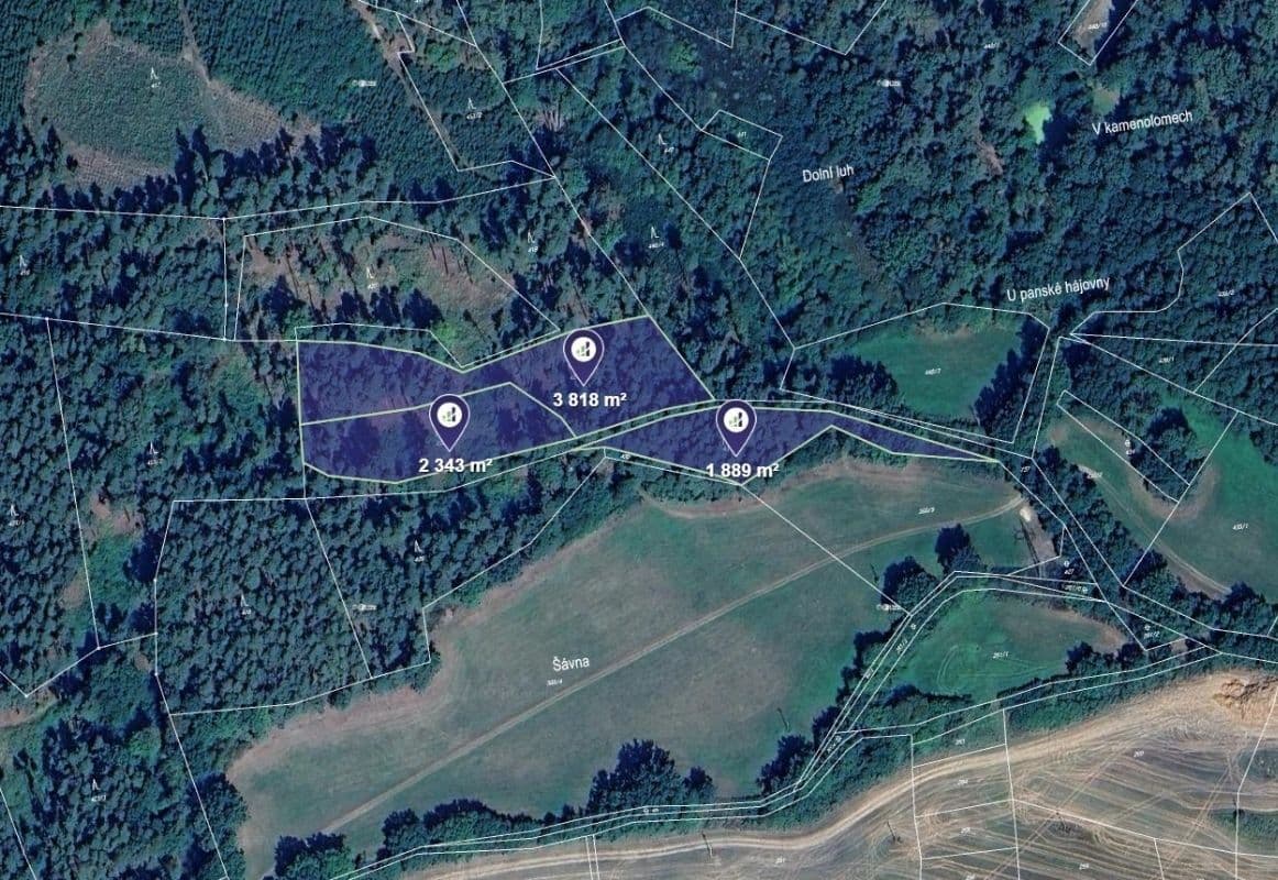 plot for sale, 10,026 m², Maňovice, Plzeňský Region plot for sale, 10,026 m², Maňovice, Plzeňský Region