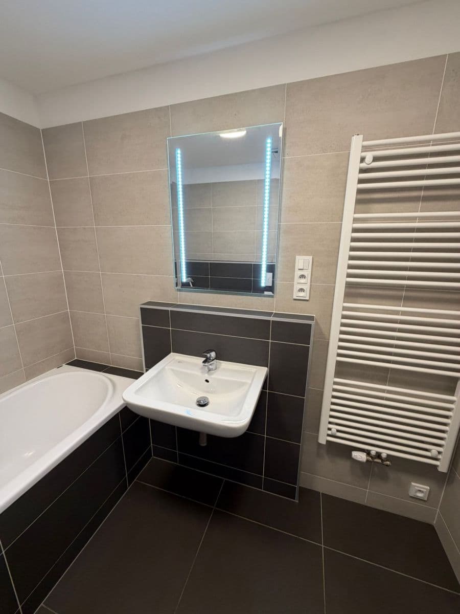 1 bedroom with open-plan kitchen flat for sale, 42 m², Za černým mostem, Prague, Prague 1 bedroom with open-plan kitchen flat for sale, 42 m², Za černým mostem, Prague, Prague