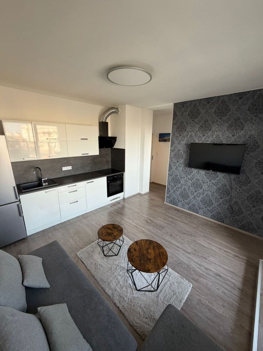 1 bedroom with open-plan kitchen flat for sale, 42 m², Za černým mostem, Prague, Prague 1 bedroom with open-plan kitchen flat for sale, 42 m², Za černým mostem, Prague, Prague