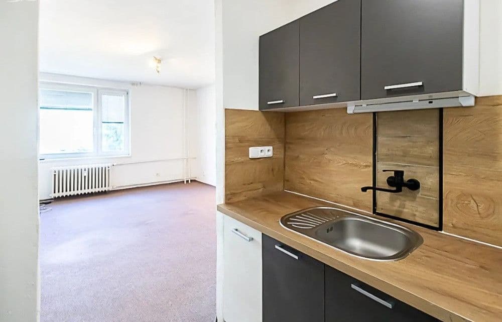 1 bedroom with open-plan kitchen flat to rent, 41 m², Záveská, Prague, Prague 1 bedroom with open-plan kitchen flat to rent, 41 m², Záveská, Prague, Prague