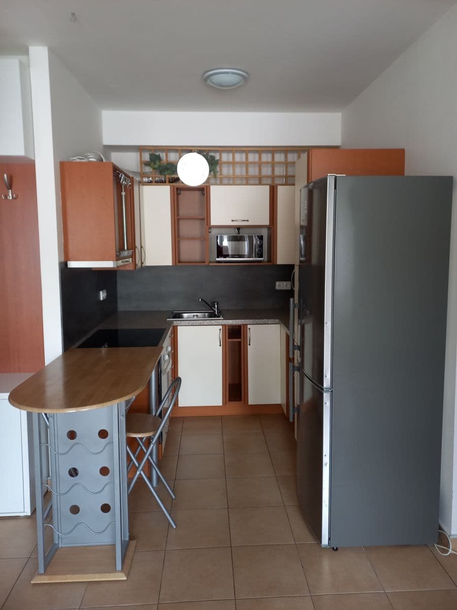 1 bedroom with open-plan kitchen flat to rent, 45 m², Pešlova, Prague, Prague 1 bedroom with open-plan kitchen flat to rent, 45 m², Pešlova, Prague, Prague