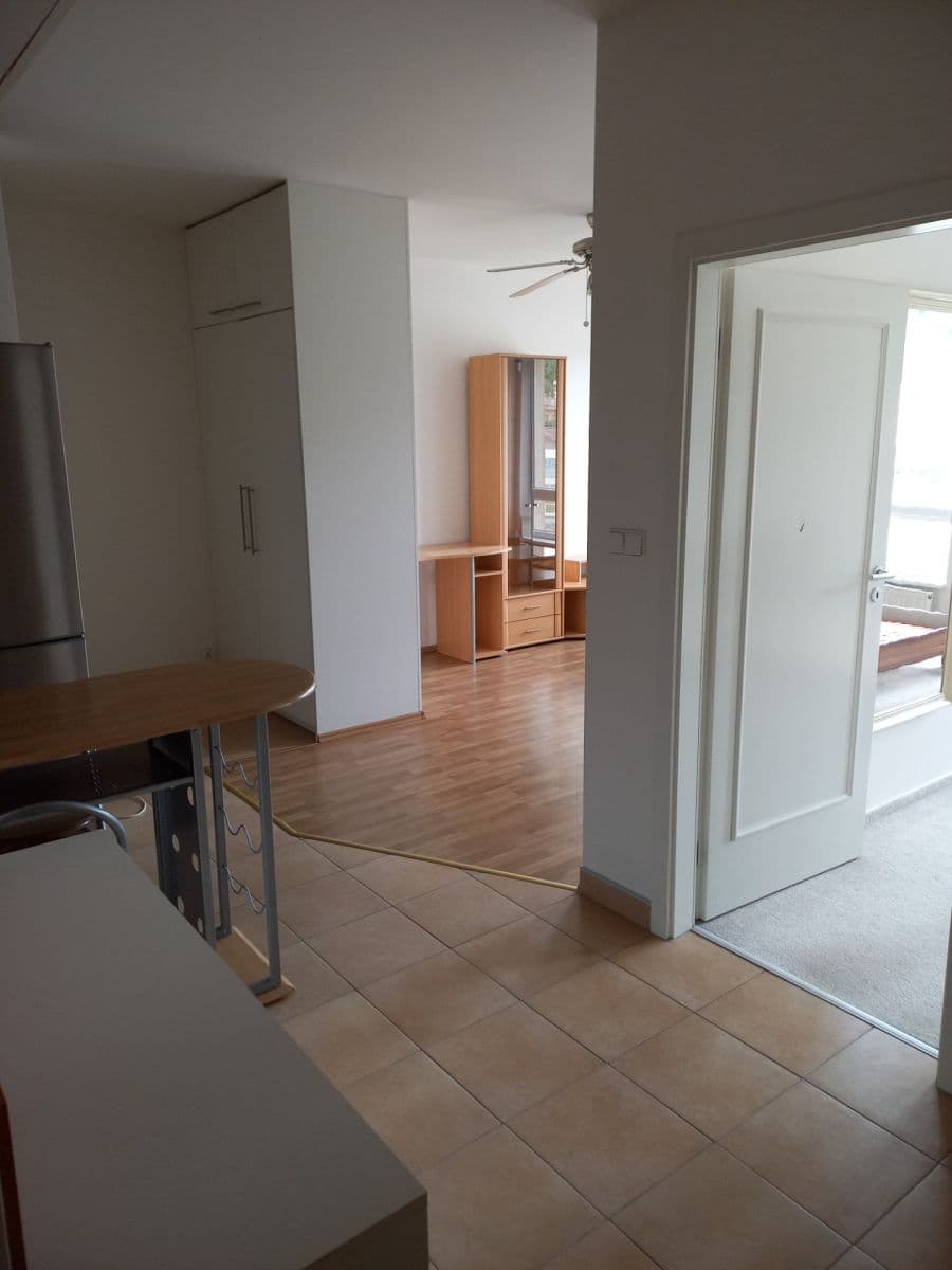1 bedroom with open-plan kitchen flat to rent, 45 m², Pešlova, Prague, Prague 1 bedroom with open-plan kitchen flat to rent, 45 m², Pešlova, Prague, Prague