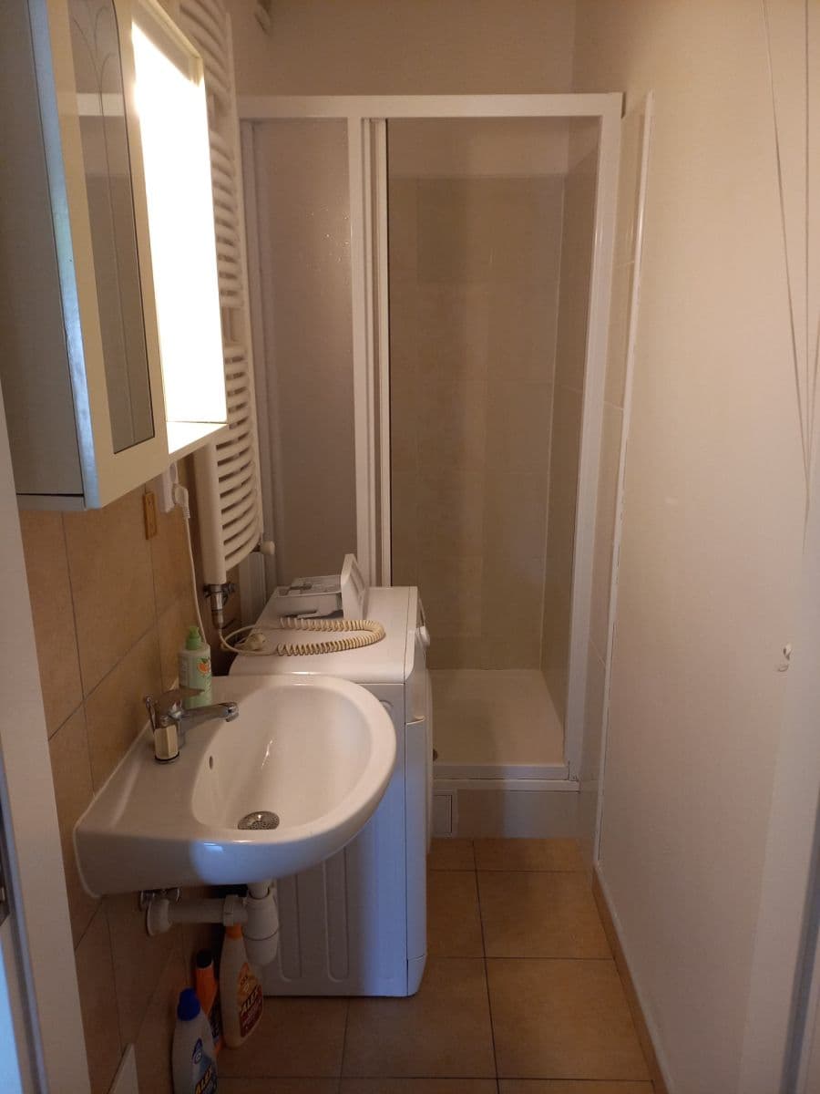 1 bedroom with open-plan kitchen flat to rent, 45 m², Pešlova, Prague, Prague 1 bedroom with open-plan kitchen flat to rent, 45 m², Pešlova, Prague, Prague