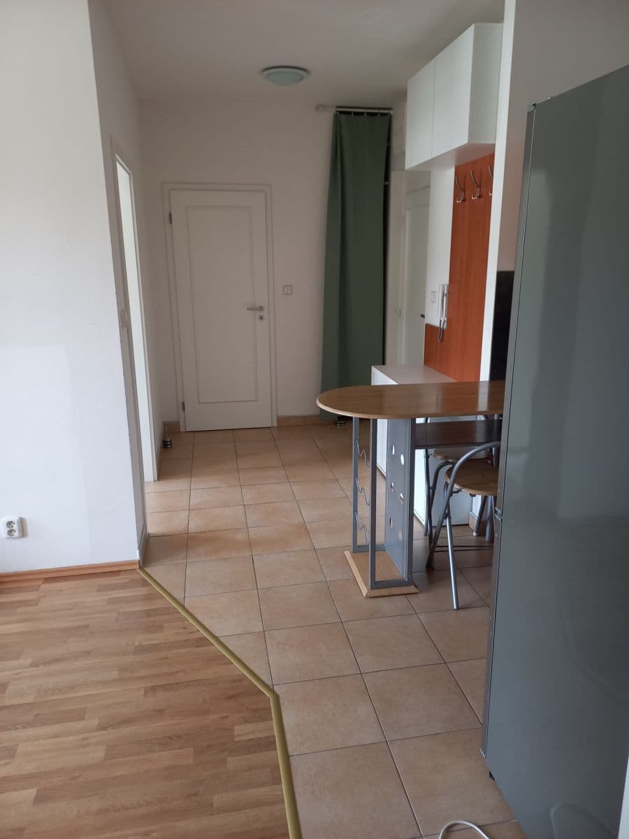 1 bedroom with open-plan kitchen flat to rent, 45 m², Pešlova, Prague, Prague 1 bedroom with open-plan kitchen flat to rent, 45 m², Pešlova, Prague, Prague