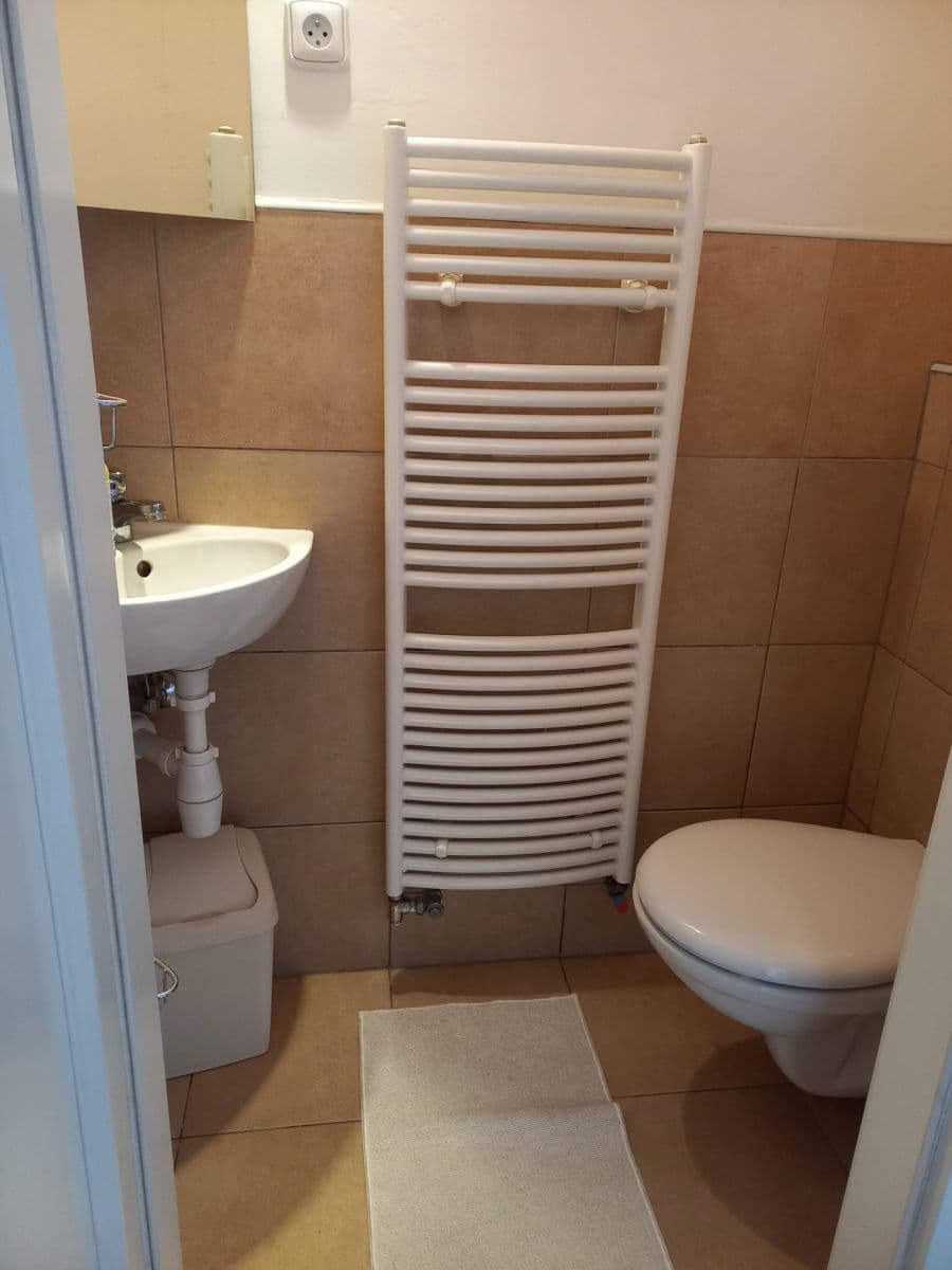 1 bedroom with open-plan kitchen flat to rent, 45 m², Pešlova, Prague, Prague 1 bedroom with open-plan kitchen flat to rent, 45 m², Pešlova, Prague, Prague
