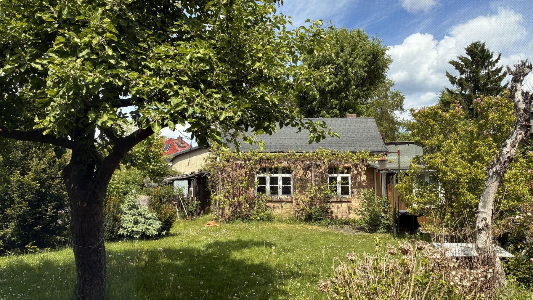 house to rent, 100 m², Eichwalde, Brandenburg house to rent, 100 m², Eichwalde, Brandenburg