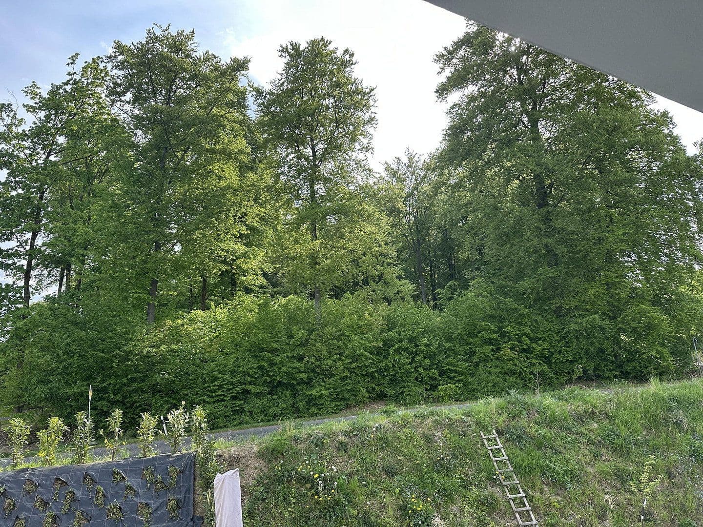 3 bedroom flat for sale, 92 m², Buchenweg 5, Rengsdorf, Rhineland-Palatinate 3 bedroom flat for sale, 92 m², Buchenweg 5, Rengsdorf, Rhineland-Palatinate