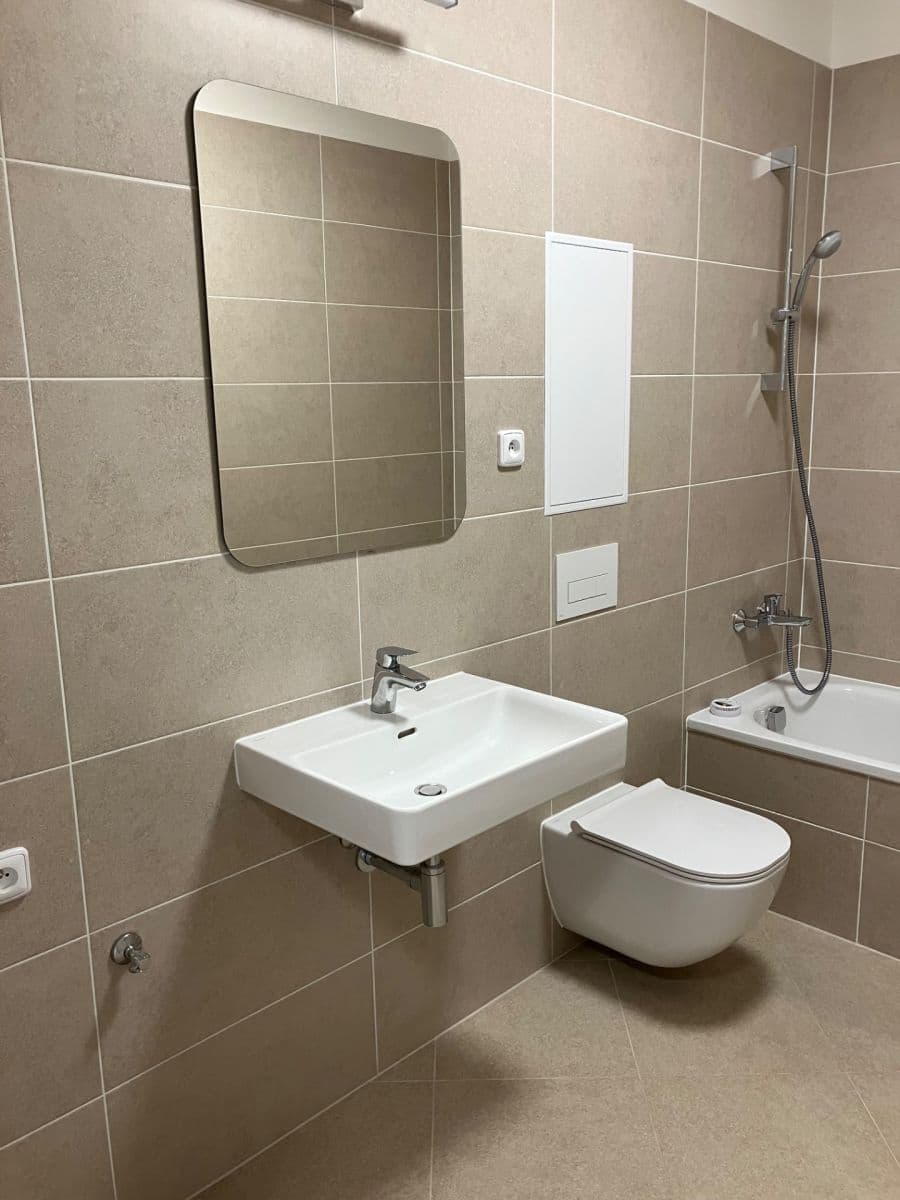1 bedroom with open-plan kitchen flat to rent, 49 m², Pod Harfou, Prague, Prague 1 bedroom with open-plan kitchen flat to rent, 49 m², Pod Harfou, Prague, Prague