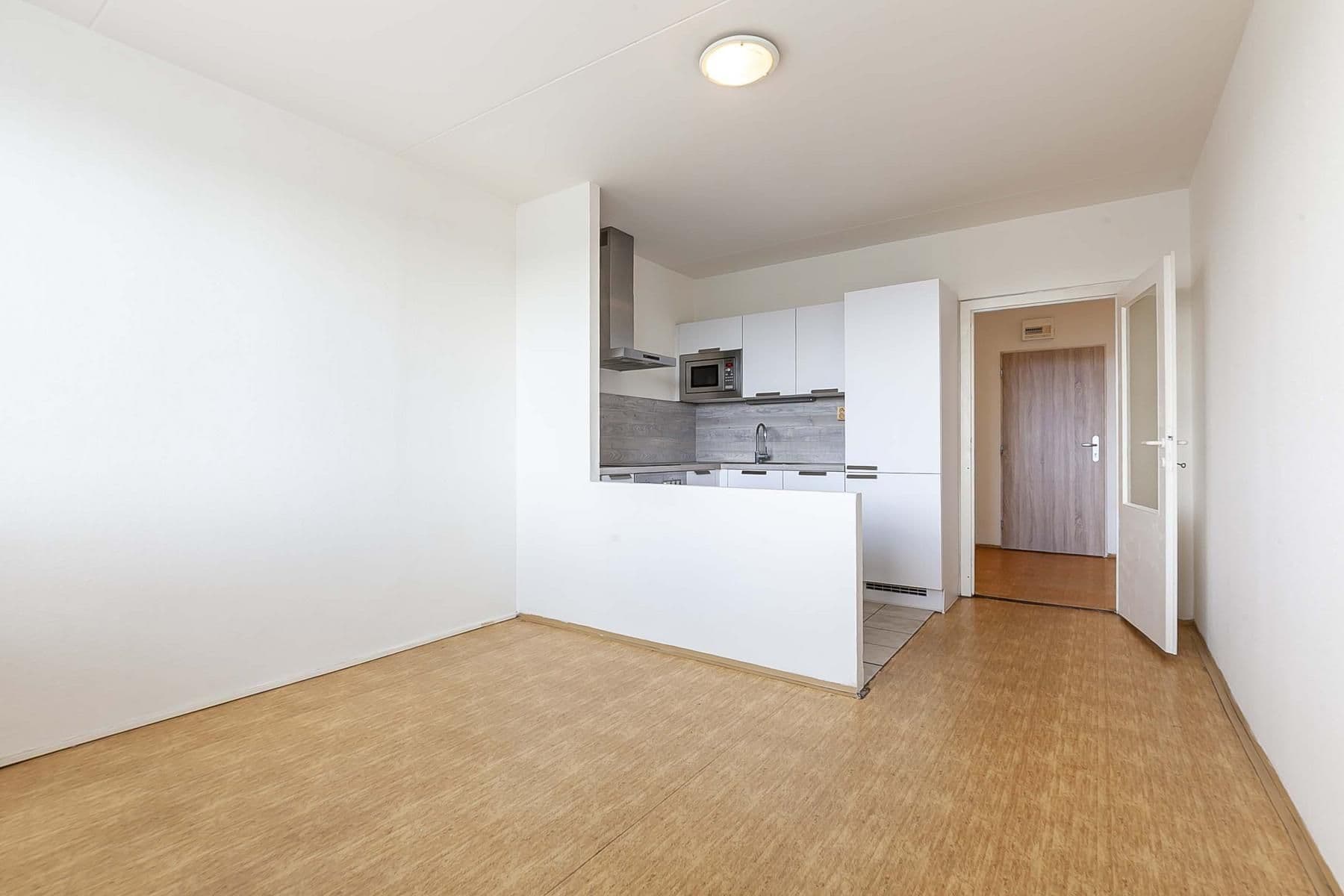 1 bedroom with open-plan kitchen flat for sale, 45 m², Roškotova, Prague, Prague 1 bedroom with open-plan kitchen flat for sale, 45 m², Roškotova, Prague, Prague