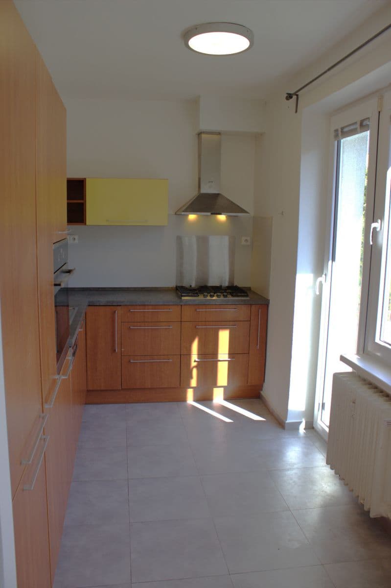 1 bedroom with open-plan kitchen flat to rent, 52 m², Jihlavská, Prague, Prague 1 bedroom with open-plan kitchen flat to rent, 52 m², Jihlavská, Prague, Prague