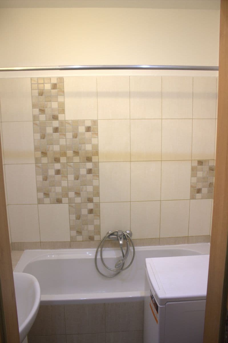 1 bedroom with open-plan kitchen flat to rent, 52 m², Jihlavská, Prague, Prague 1 bedroom with open-plan kitchen flat to rent, 52 m², Jihlavská, Prague, Prague