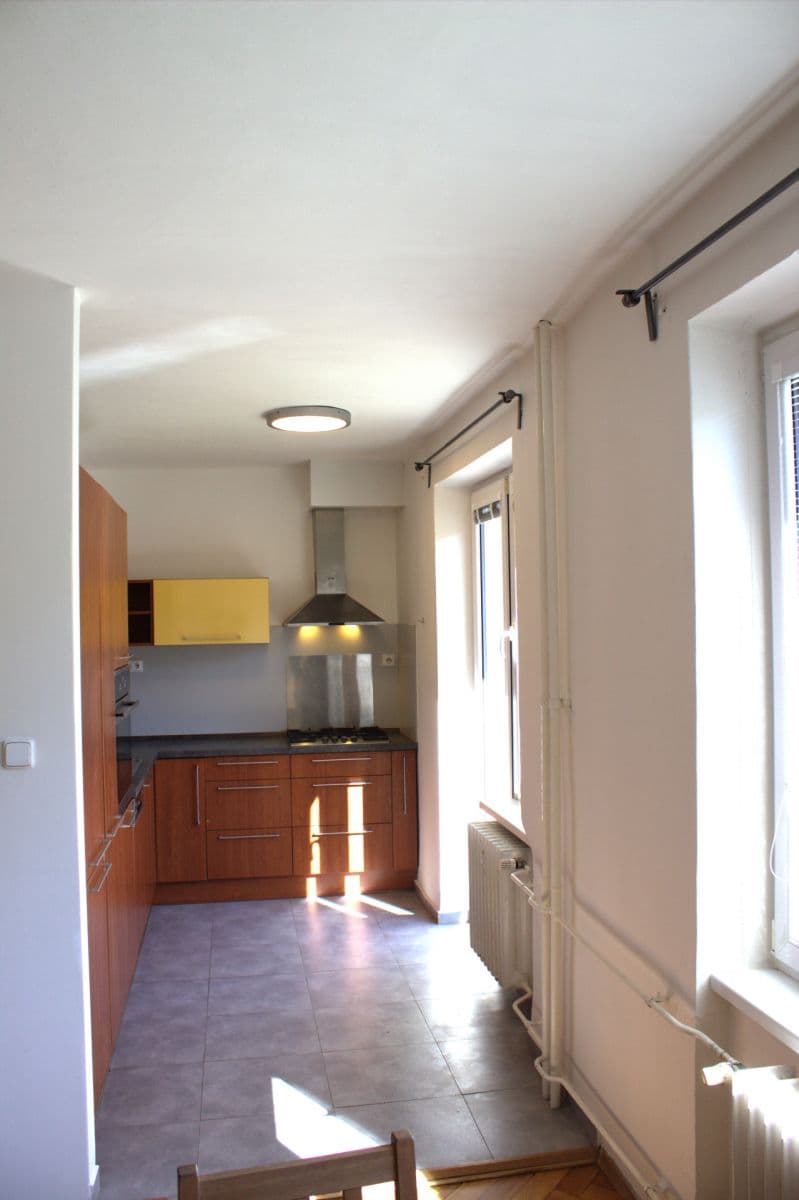 1 bedroom with open-plan kitchen flat to rent, 52 m², Jihlavská, Prague, Prague 1 bedroom with open-plan kitchen flat to rent, 52 m², Jihlavská, Prague, Prague