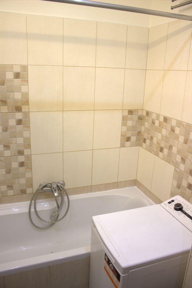 1 bedroom with open-plan kitchen flat to rent, 52 m², Jihlavská, Prague, Prague 1 bedroom with open-plan kitchen flat to rent, 52 m², Jihlavská, Prague, Prague